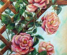 Чайная роза, бумага 40х50 см, пастель, 2010...